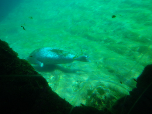 L'Oceanogr&agrave;fic Center.